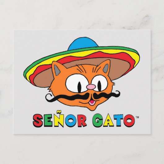 可愛おもしろいいカラフル漫画の猫cinco de Mayo ポストカード (正面)