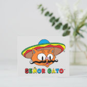 可愛おもしろいいカラフル漫画の猫cinco de Mayo ポストカード (スタンド正面)