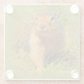 可愛おもしろいいコロンビアグラウンドリス ガラスコースター (裏面)