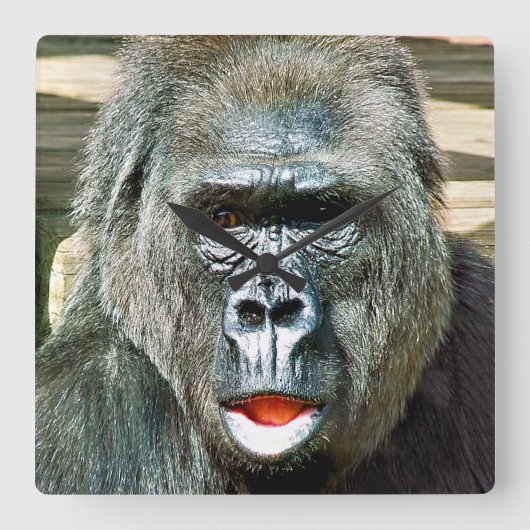 可愛おもしろいいゴリラ スクエア壁時計 (正面)