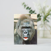 可愛おもしろいいゴリラ ポストカード (スタンド正面)