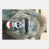 可愛おもしろいいゴリラ ラッピングペーパーシート (正面3)