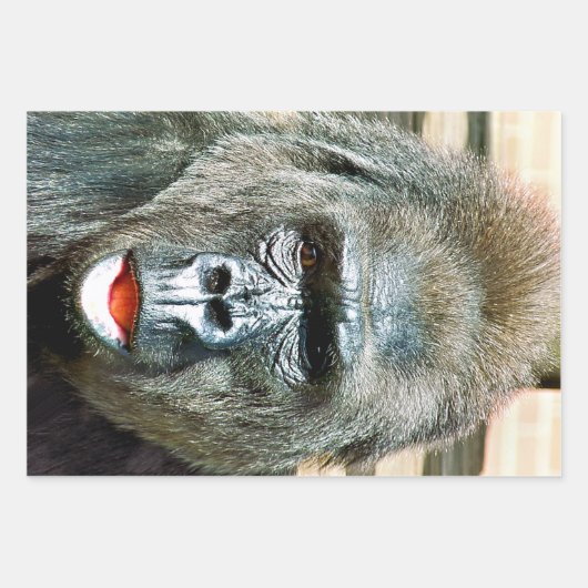 可愛おもしろいいゴリラ ラッピングペーパーシート (正面)