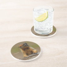 可愛おもしろいいソーサリ