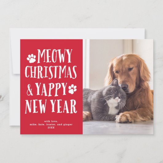 可愛おもしろいいタイプの愛犬+猫ホリデー写真カード シーズンカード (正面)