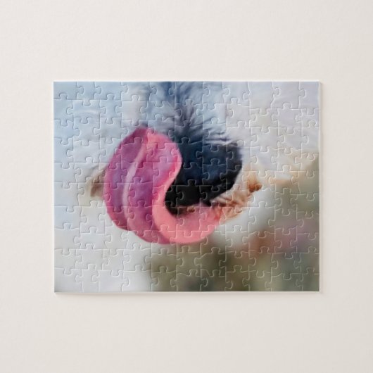 可愛おもしろいいドッグタングホワイトシュナウザーパズル ジグソーパズル (横)