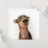 可愛おもしろいいドバーマンパピードッグ カード (正面/裏面インサイチュ)