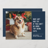 可愛おもしろいいペットの写真ネイビーブルーのクリスマス シーズンカード (正面/裏面)