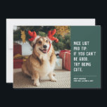 可愛おもしろいいペット写真クリスマスホリデーカード シーズンカード<br><div class="desc">クリスマスの応援を送信するための可愛くて賢いホリデーカードデザイン。グリーンに白い文字を付けたワンフォトデザインスタイリッシュは、犬や猫など誰でも好きなリストに載せたい人に最適。言葉の読「いいリストのプロのヒントもし：あなたは良くできない、かわいい試みること。 ペット素晴らしのホリデーカードを！</div>