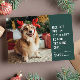 可愛おもしろいいペット写真クリスマスホリデーカード シーズンカード