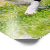 可愛おもしろいいボストンテリア犬のパピー遊ズ –  フォトプリント            (角)