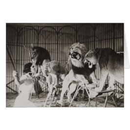 可愛おもしろいいライオンタマーママ