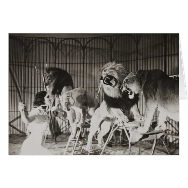 可愛おもしろいいライオンタマーママ (正面横)