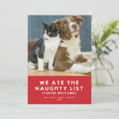 可愛おもしろいいリいけなストペットフォトクリスマスレッド シーズンカード (スタンド正面)