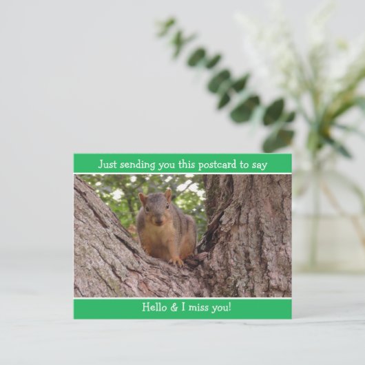 可愛おもしろいいリスことわざこんにちは恋しく思お前 ポストカード (スタンド正面)