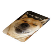 可愛おもしろいい日本のスマイルの秋田犬 マグネット (左側)