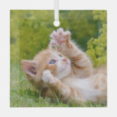 可愛おもしろいい猫が遊花園で子猫 ガラスオーナメント (正面)