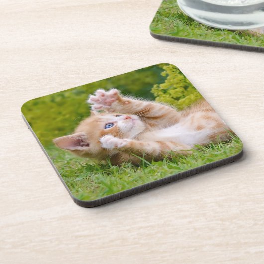 可愛おもしろいい猫が遊花園で子猫 コースター (左側)