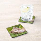 可愛おもしろいい猫が遊花園で子猫 コースター (右側)