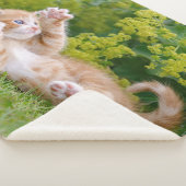 可愛おもしろいい猫が遊花園で子猫 シェルパブランケット (3/4)