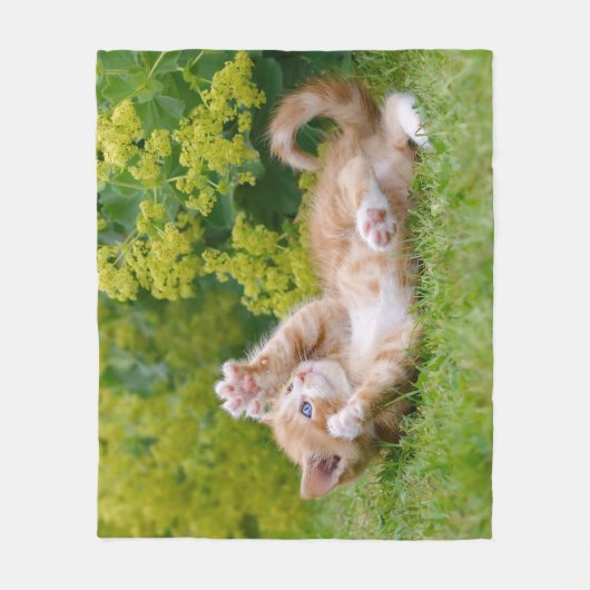 可愛おもしろいい猫が遊花園で子猫 フリースブランケット (正面)