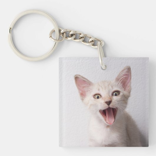 可愛おもしろいい猫の写真 キーホルダー (正面)
