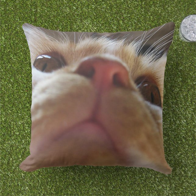 可愛おもしろいい猫の目 アウトドアクッション (芝生)