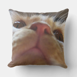 可愛おもしろいい猫の目 アウトドアクッション