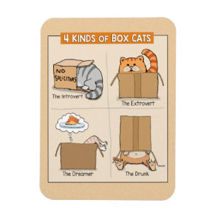 可愛おもしろいい猫の箱 マグネット