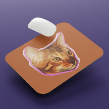 可愛おもしろいい猫ミックスメディアコラージュ