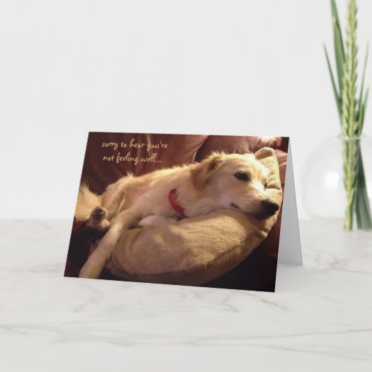 可愛おもしろいい眠る犬の夢が元気になる カード (正面)