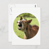 可愛おもしろいい群れ ポストカード (正面/裏面)