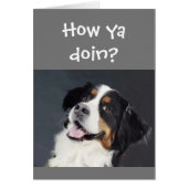 可愛おもしろいい考え愛犬 (正面)