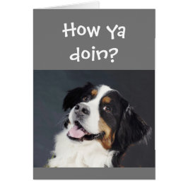 可愛おもしろいい考え愛犬