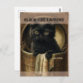 可愛おもしろいい黒猫ランドリー ポストカード (正面/裏面)
