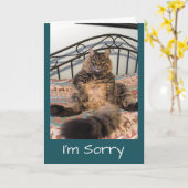 可愛くてキムバー猫を許せないなんて カード (黄色い花)