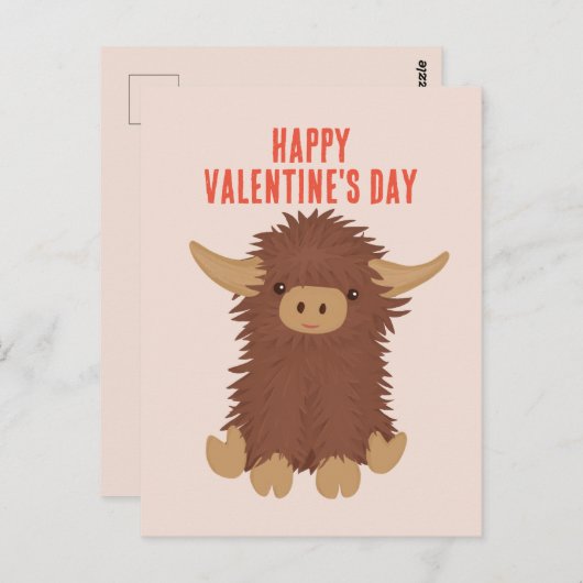 可愛くてシャギーな高地の牛の教室バレンタイン ポストカード (正面/裏面)