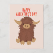 可愛くてシャギーな高地の牛の教室バレンタイン ポストカード (正面)