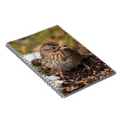 可愛くてスプーンなリンカーンのスズメ ノートブック (右側)