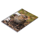 可愛くてスプーンなリンカーンのスズメ ノートブック (左側)