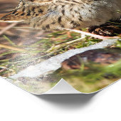 可愛くてスプーンなリンカーンのスズメ フォトプリント (角)