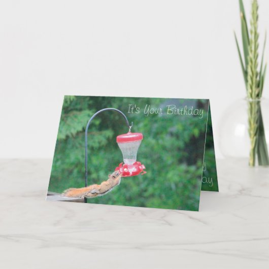 可愛くてムチっぽい カード (正面)