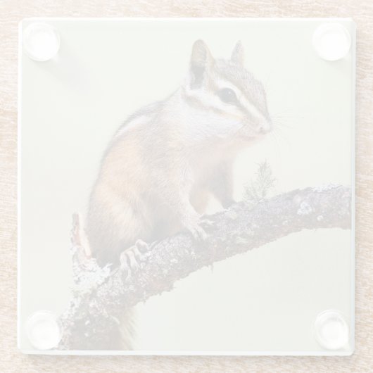 可愛くて丸っぽいチムンク ガラスコースター (裏面)