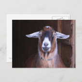 可愛くて可愛いヤギのはがき ポストカード (正面/裏面)