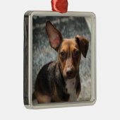 可愛くて愛らしい「ハインツ・バラエティ」プチ メタルオーナメント (右)