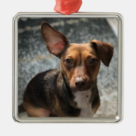 可愛くて愛らしい「ハインツ・バラエティ」プチ メタルオーナメント