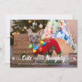 可愛すぎてリストいけなおもしろい犬のペットの写真 シーズンカード (正面)