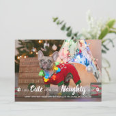 可愛すぎてリストいけなおもしろい犬のペットの写真 シーズンカード (スタンド正面)