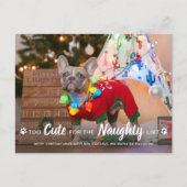 可愛すぎてリストいけなおもしろい犬のペットの写真 シーズンポストカード (正面)