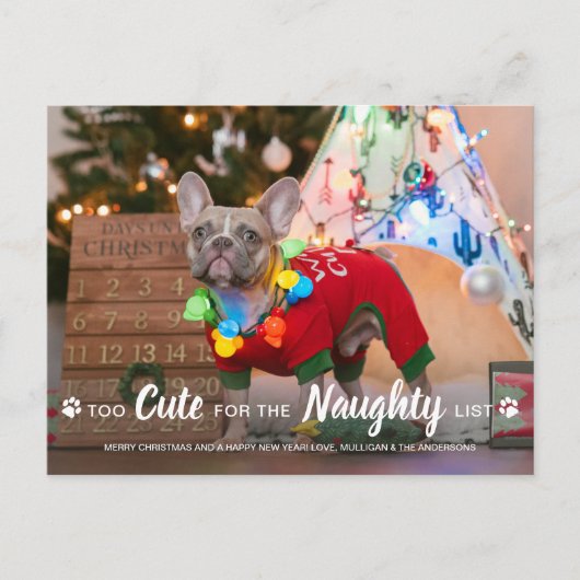 可愛すぎてリストいけなおもしろい犬のペットの写真 シーズンポストカード (正面)